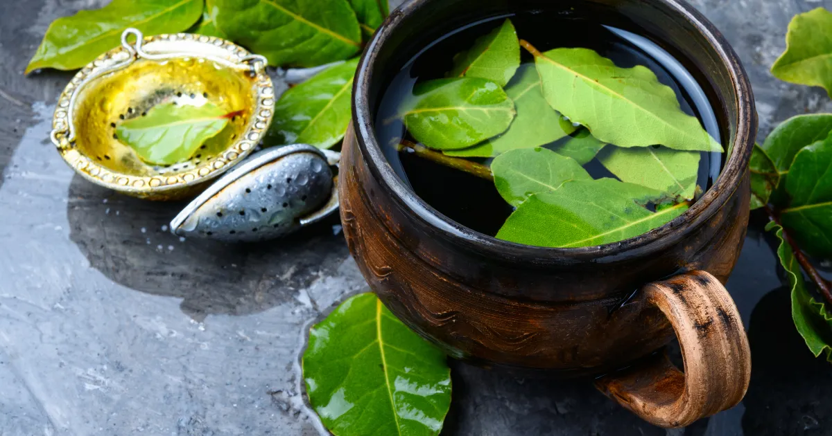 Receita de Bolo de Chocolate